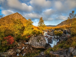Góry, Skały, Szkocja, Góra, Buachaille Etive Mor, Krzewy, Region Highland, Drzewa, Strumień, Jesień, Rzeczka